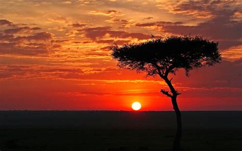 African Sunset 2 1xbet