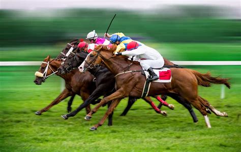 Apostas Em Corridas De Cavalos Cariacica