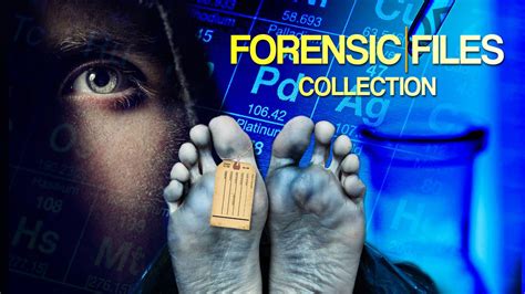 Arquivos Forenses Casino