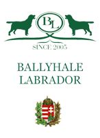 Ballyhale Black Jack