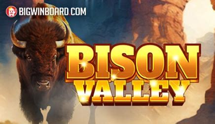 Bison Valley Review 2024