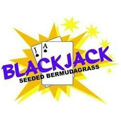 Blackjack Bermuda De Sementes Para Venda