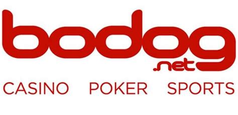 Bodog Belo Horizonte