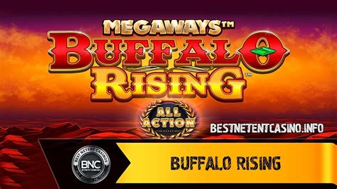 Buffalo Rising Megaways All Action Novibet