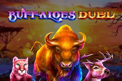 Buffaloes Duel Review 2024