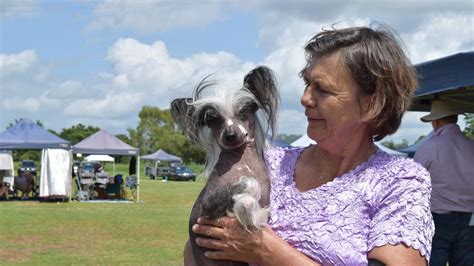 Casino Dog Show