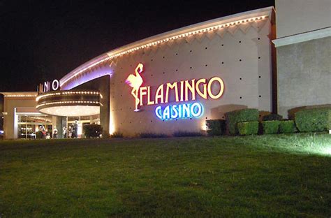 Casino Flamingo Merlo Direccion