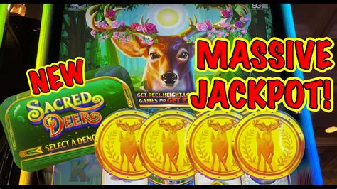 Casino Jackpot Red Deer Poker