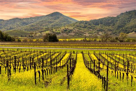 Cassinos Indigenas Perto De Napa Valley Ca