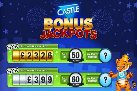 Castle Bingo Netbet