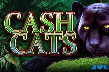 Cats And Cash 1xbet