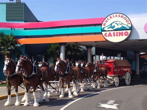 Clydesdale Cassino Restaurante