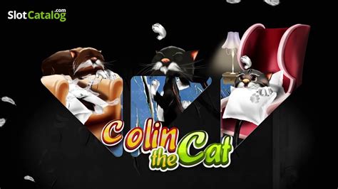 Colin The Cat Brabet