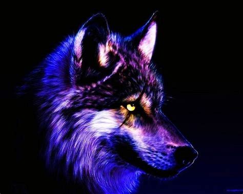 Cool Wolf Bwin