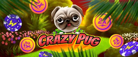 Crazy Pug 1xbet