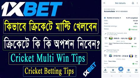 Cricket Fever 1xbet