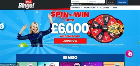 Daily Record Bingo Casino Aplicacao