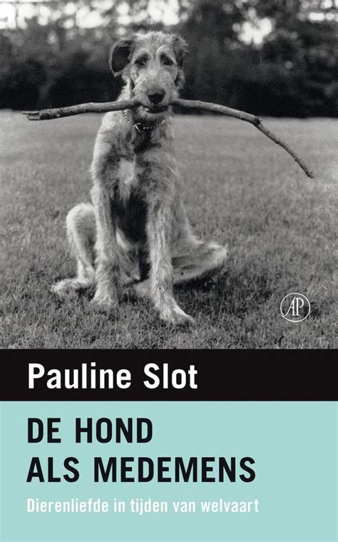 De Hond Als Medemens Van Paulista De Fenda