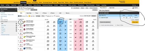 Deep Blue Betfair