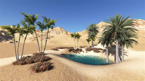 Desert Oasis Netbet