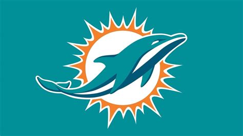 Dolphins Review 2024