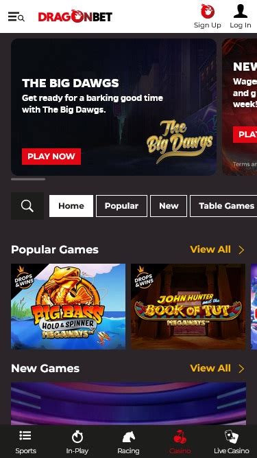 Dragonbet Casino App