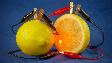 Electric Fruit Betfair