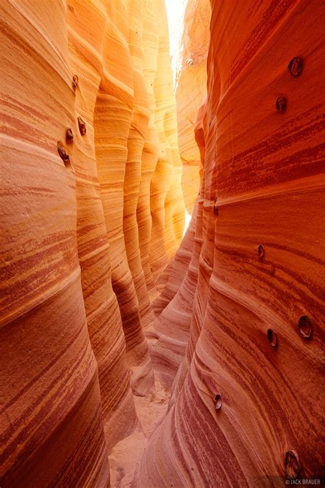 Escalante Slot Canyons