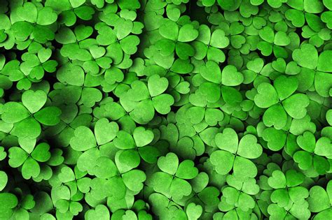 Field Of Clovers Pokerstars