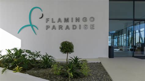 Flamingo Paradise Bwin
