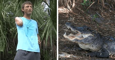 Florida Gator Merda Calcas