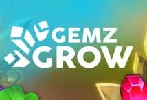 Gemz Grow Parimatch