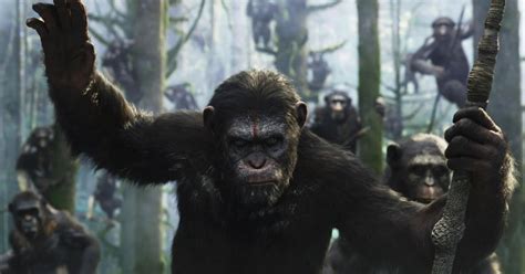 Great Apes Review 2024