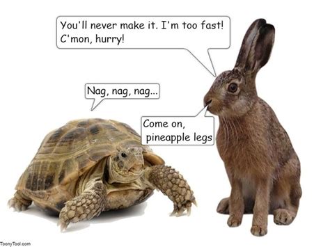 Hare Vs Tortoise Betsul