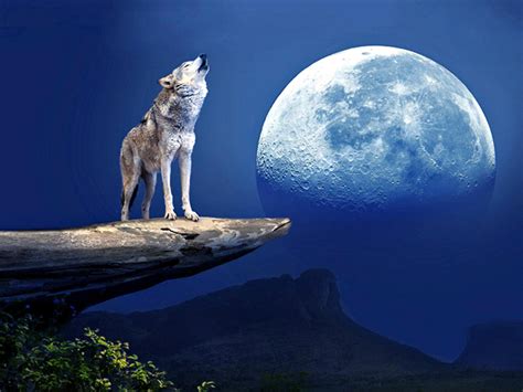 Howling At The Moon Betsul