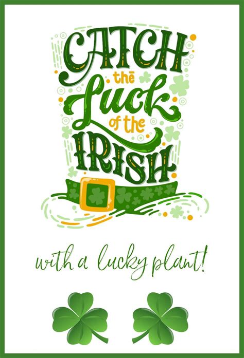 Irish Luck Betsul