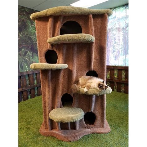 Kitty Condo Brabet