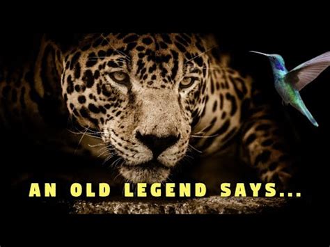 Legend Of The Jaguar Brabet