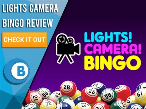 Lights Camera Bingo Casino Download