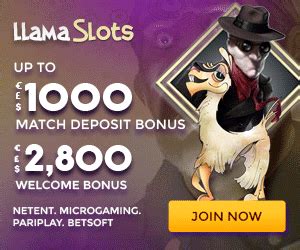 Llama Gaming Casino Apostas