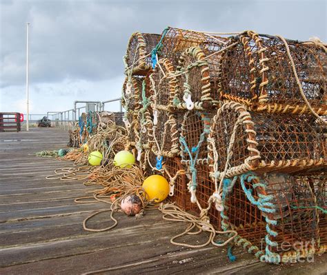 Lobster Pots Betsson