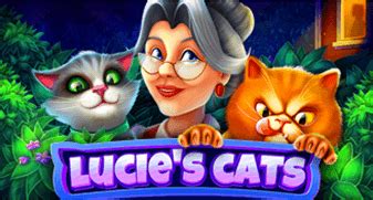 Lucie S Cats Betfair