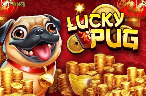 Lucky Pug 1xbet