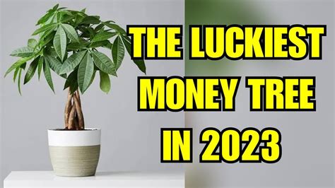 Lucky Tree Netbet