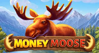 Money Moose Bodog