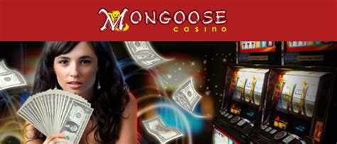 Mongoose Casino Aplicacao