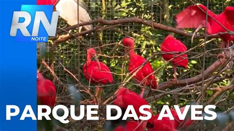 Monte Casino Parque Das Aves Mostrar Vezes