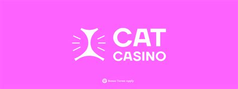 Mr Cat Casino Aplicacao