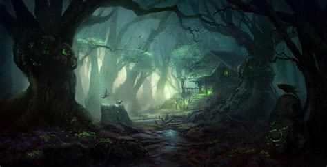 Mystic Forest Brabet