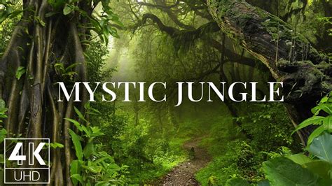Mystic Jungle Parimatch